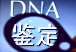 广安怎么选择正规DNA鉴定中心，广安正规DNA亲子鉴定大概多少钱